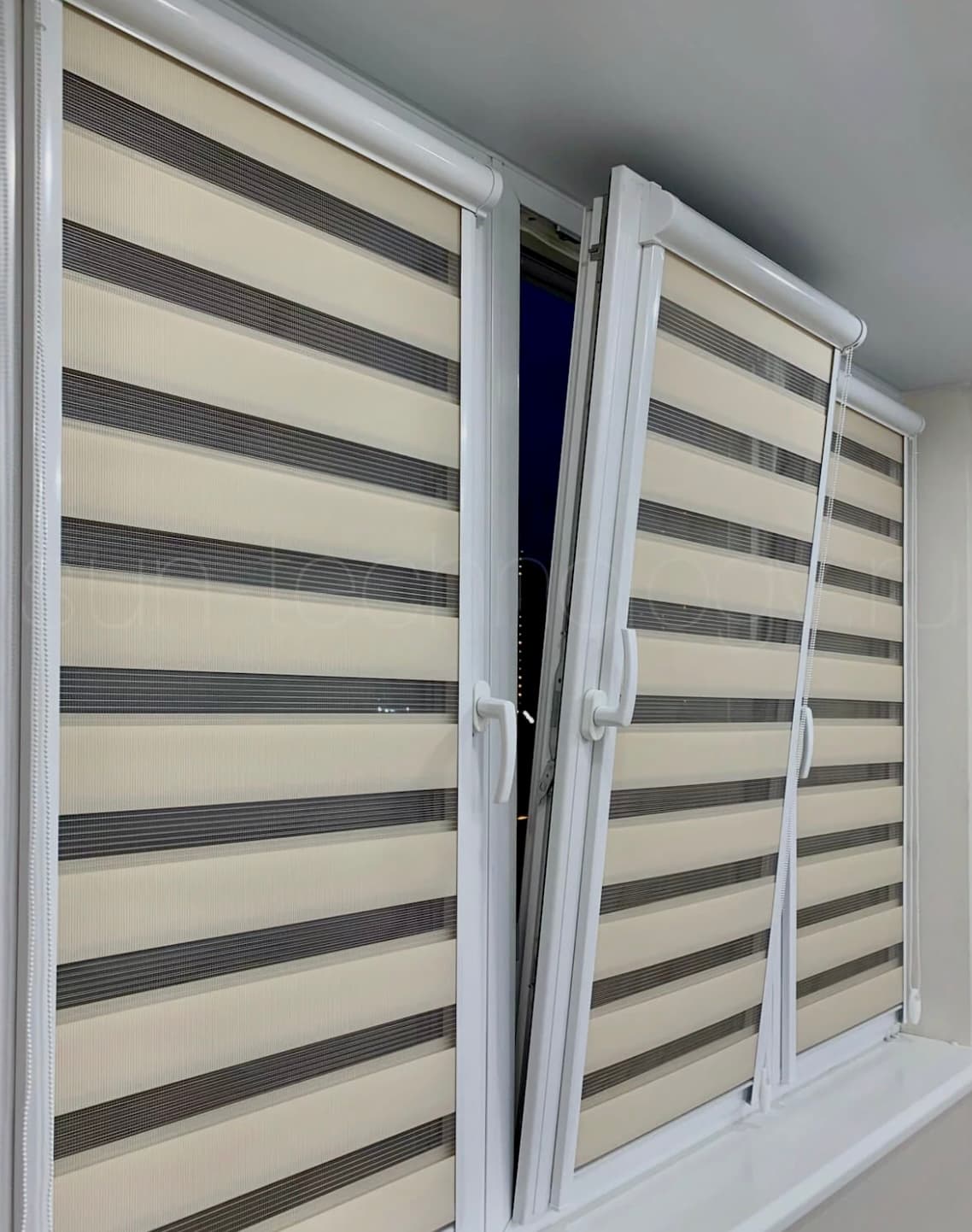 Zebra Blinds